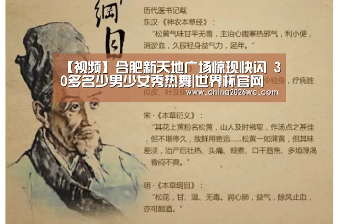 【视频】合肥新天地广场惊现快闪 30多名少男少女秀热舞|世界杯官网(图2) 48强分组