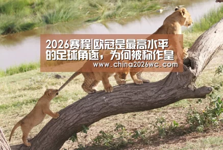 2026赛程|欧冠是最高水平的足球角逐,为何被称作皇冠上的明珠?(图1) 世界杯官网