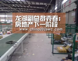 龙湖副总裁袁春:房地产下一阶段 创新运营非常重要-2026赛程(图1) 比赛直播
