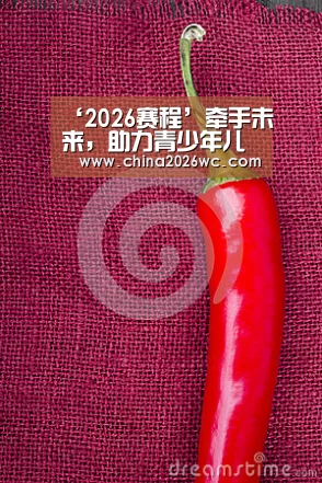‘2026赛程’牵手未来,助力青少年儿童健康成长(图4) 比赛直播