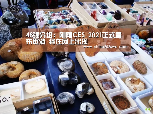 48强分组